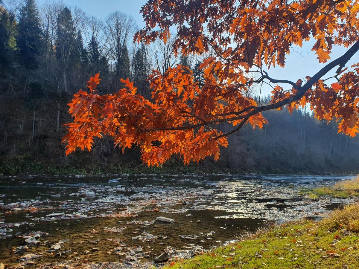 Domki U Gretka Лютовиска Экстерьер фото