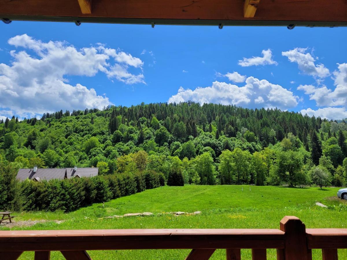 Domki U Gretka Лютовиска Экстерьер фото