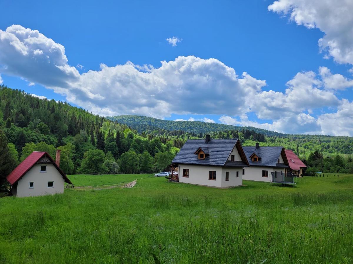 Domki U Gretka Лютовиска Экстерьер фото